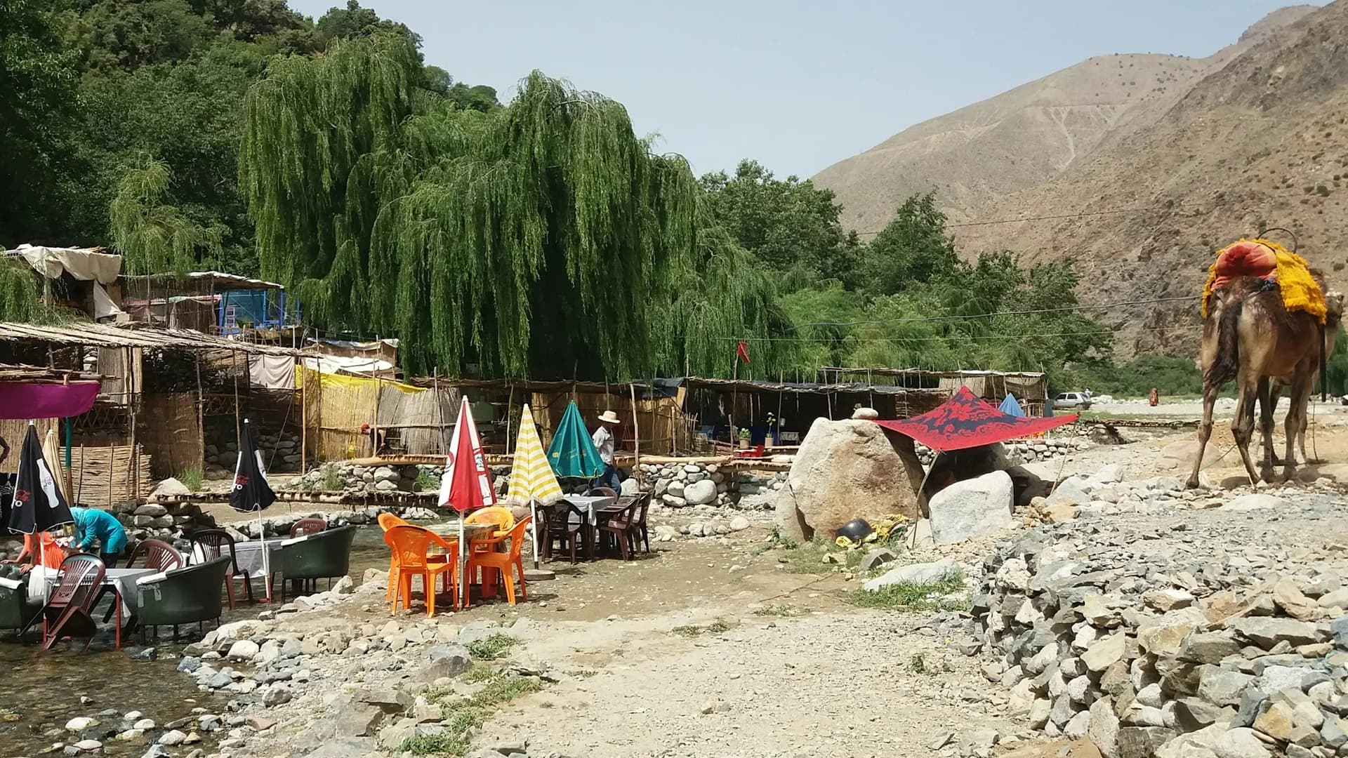 Bivouac et mulets en montagne