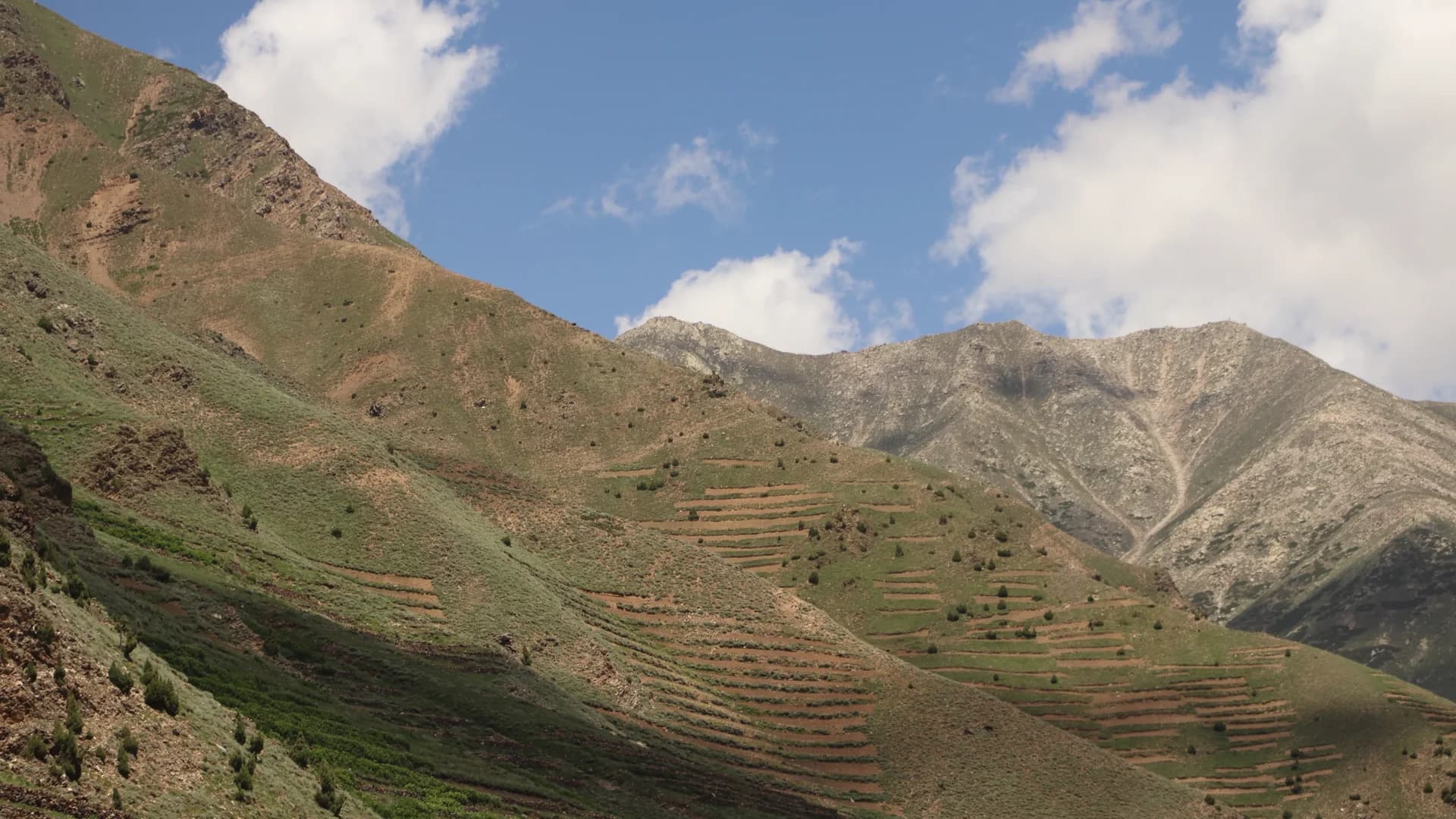 Champs en terrasses dans la vallée d’Imlil
