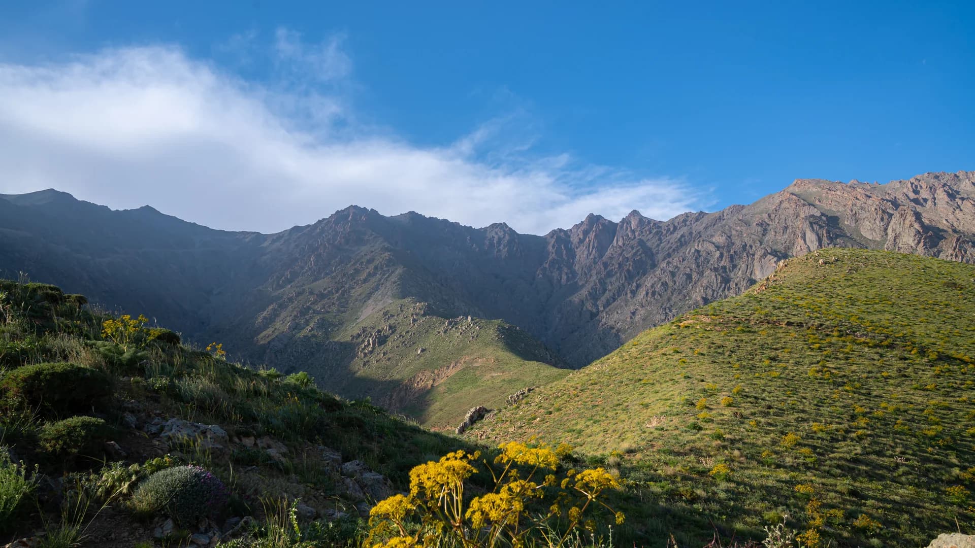 Collines verdoyantes sur un itinéraire de randonnée facile à Imlil