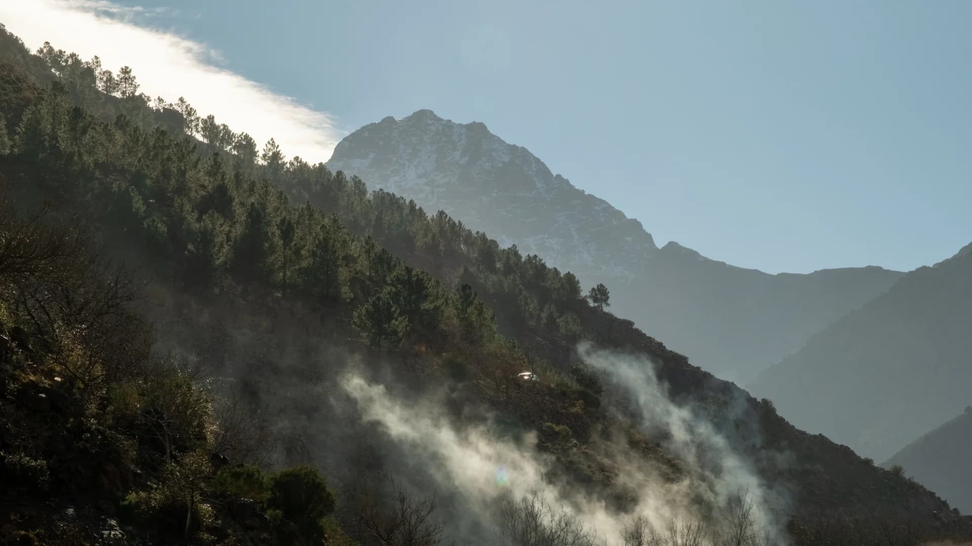 Forêt et montagnes brumeuses de l’Atlas