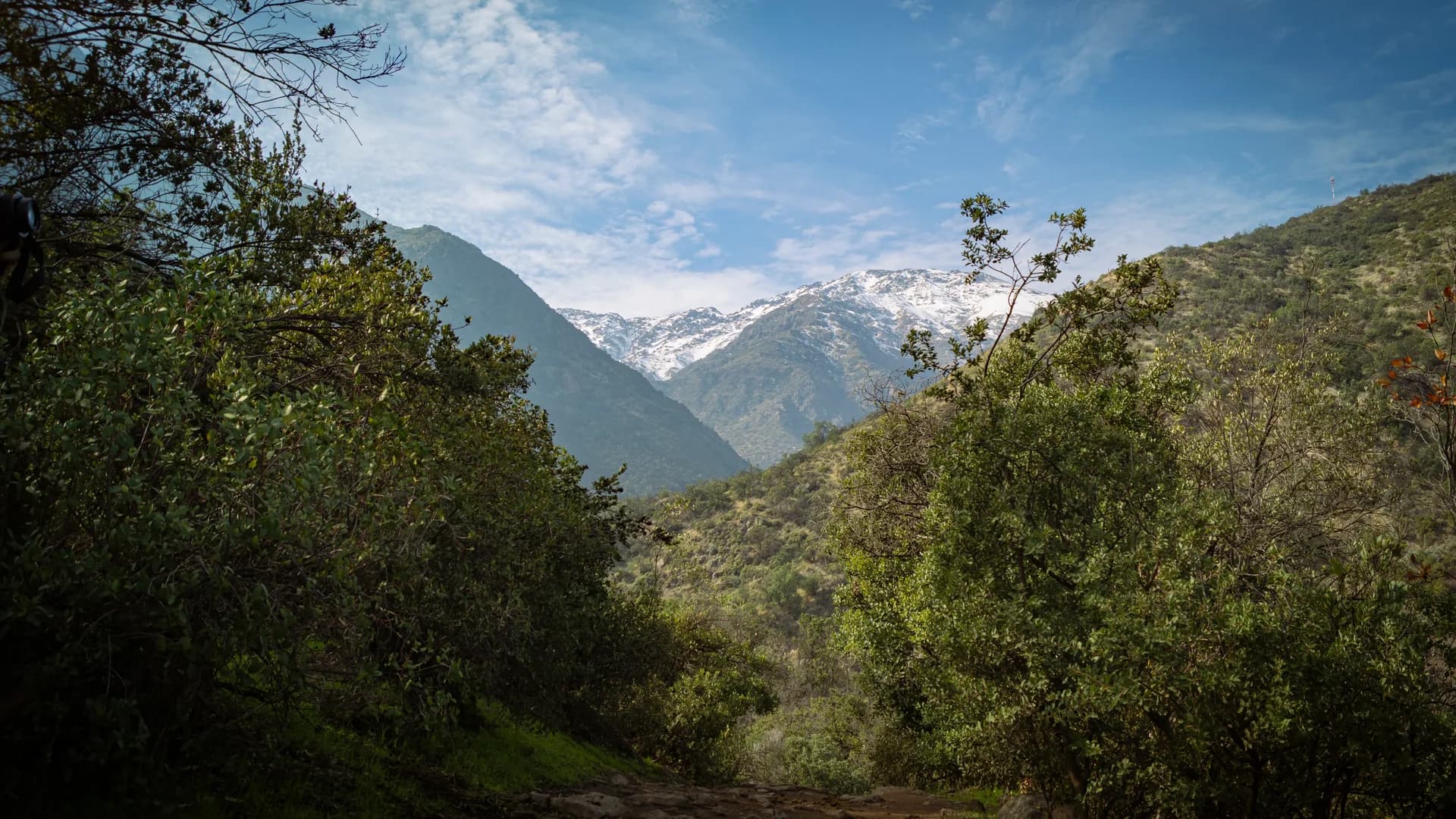Sentier de randonnée verdoyant dans la vallée d’Imlil